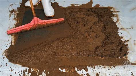 cleaning mud Australia|How to clean mud from carpet, floorboards and upholstery .